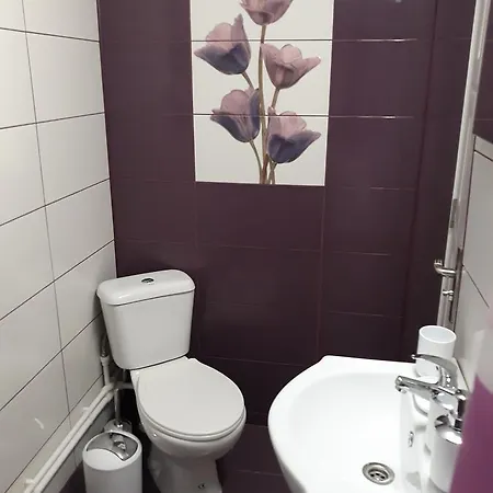 Gasthof Casa Remus Sulina