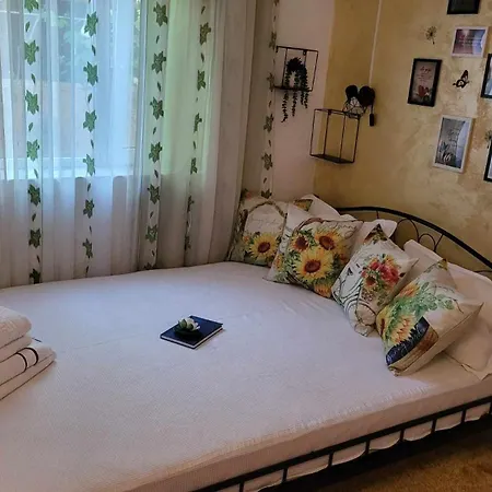 Guest house Casa Remus