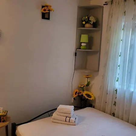 Casa Remus 3* Sulina