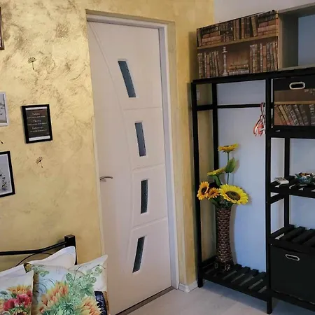 Casa Remus Guest house *
