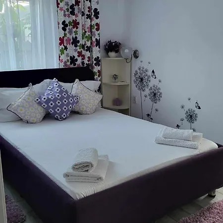 Casa Remus 3* Sulina